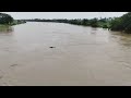 ପୁରୀ ନଦୀରେ ଭାସି ଯାଉଛି ଏକ ଅଜଣା ଶବ🤯 an unknown body is floating in puri river🤯