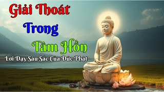 Giải Thoát Trong Tâm Hồn | Những Lời Dạy Của Phật | Ngẫm Và Nghĩ