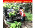 0823-2773-2765 (Telkomsel)bibit pisang raja