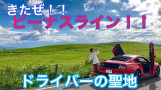 雲の中まで車で行こう！ビーナスラインにアメ車で行ってみた！長野県 絶景ドライブ【マスタング】Avicii - Heaven