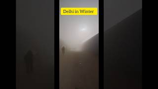 How delhi looks in winter #delhi #ytshorts #shorts #trending #delhicold  #delhi #delhicapitals