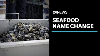 Oyster farmers change product origin name in nod to Black Lives Matter movement | ABC News