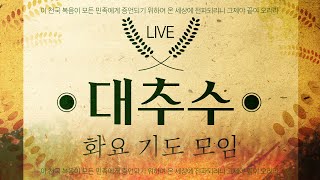 대추수 화요기도모임 (Live) 2023.06.27(화)