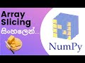 Python Numpy  Tutorial - 04 | Array Slicing | Sinhala