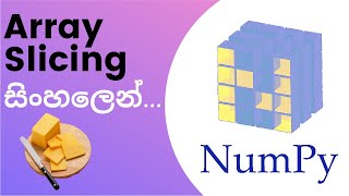 Python Numpy Tutorial - 04 | Array Slicing | Sinhala