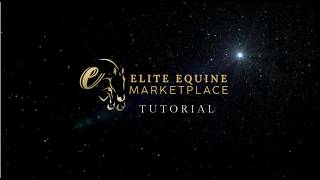 Stop Scrolling. Start Finding | Elite Equine Marketplace Demo