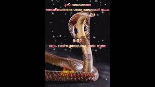 ശ്രീ നാഗരാജ അഷ്ടോത്തര ശതനാമാവലി ജപം - 02 #nagaraja #naga #devotional #hindugod #god #bhakti #japam