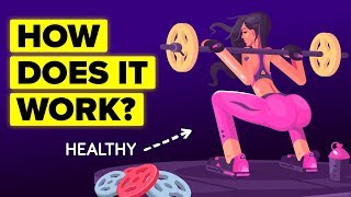 How Does The Immune System Actually Work?