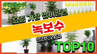 녹보수 추천 판매순위 Top10 || 가격 평점 후기 비교