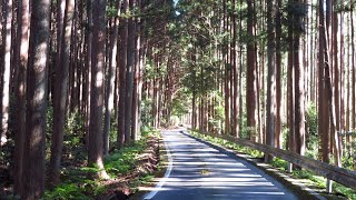 大杉谷森林鉄道廃線跡（船津駅～三重県道603号線）