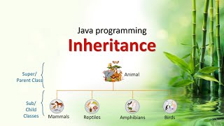 Inheritance in JAVA [Vehicle practice]