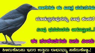 ಕಾಗೆಗಳು ನೀಡುವ ಸಂಕೇತಗಳು ಹಾಗೂ ಅದರ ಅರ್ಥಗಳನ್ನು ತಿಳಿದುಕೊಳ್ಳಿ || crow || divinekannada