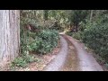 世界遺産　熊野古道大辺路　富山平見道を歩く