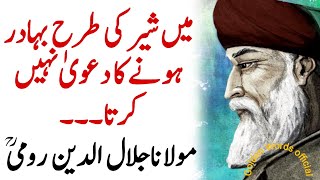 Jalaluddin Rumi Quotes in Urdu | Famous Quotes | Spirtual Thoughts by Jalaluddin Rumi  #Rumi
