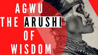 Agwu The Arushi of Wisdom - Igbo Mythology (afa, medicine, universal mind, madness)