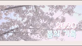 2020, 봄의 기록