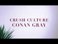 Conan Gray- Crush Culture Lyrics