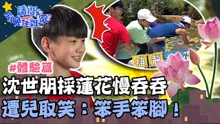 採收香水蓮花！沈世朋動作慢吞吞？遭兒取笑：笨手笨腳！【請問 今晚住誰家】體驗篇 20220831 EP605 Part2 王傳一 陳漢典