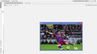 28. Template matching using OpenCV Python