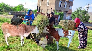 Village life | Village lifestyle of Iran(harvesting fodder)| Life in the most remote village of Iran