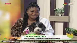 TV3Newday: The Pets Lifestyle - All You Need To Know About Keeping Pets