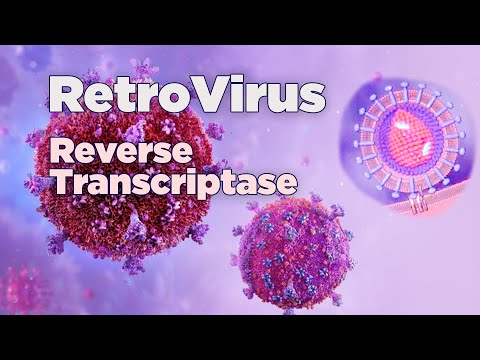 What do all retroviruses have in common?
