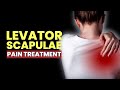 Strengthen Your Levator Scapulae Muscle | Heal Pain On The Upper Back Neck & Shoulder | 174 Hz