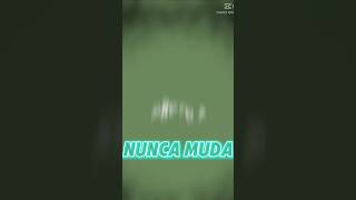 Nunca Muda shake edit🔥 Template for FREE!  #edit #free #template #tutorial  #capcut #capcuttutorial