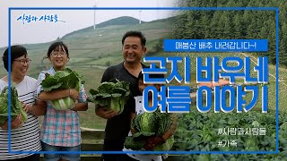 [사람과 사람들] 매봉산 배추 내려갑니다! 곤지바우네 지난 여름 이야기 ｜ KBS 160921 방송