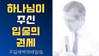 [John LeeDongHo Ministry]  하나님이 주신 입술의 권세 | 주일 새벽예배말씀 | 2024년 10월06일