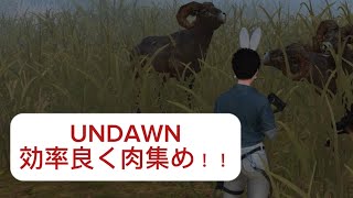 UNDAWN！(アンドーン)の効率肉集め！