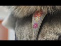New Inuit Art Centre exhibit opens in Winnipeg