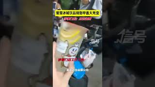 网曝蜜雪冰城饮品现指甲盖大死虫 门店：正调查