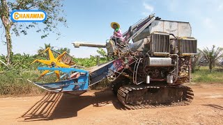 ตัวแรงเสียงโบลั่นๆ รถเกี่ยว พ.เจริญพัฒนา ตัวถังเลสเก่าแต่เก๋า Combine Harvester 2020