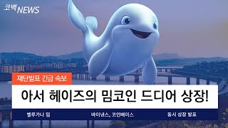 [벨루가나]아서 헤이즈의 밈코인 드디어 상장하네요! 다섯개 CEX 동시 상장 계획 발표! 역대급 상승 나와줍니다!