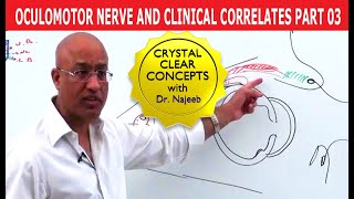 Oculomotor Nerve and Clinical Correlates Part 3