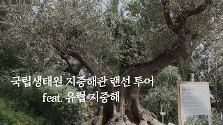 [힐링 생태원] 국립생태원 지중해관 랜선 투어 feat. 유럽 지중해ㅣ가족 여행ㅣ12월