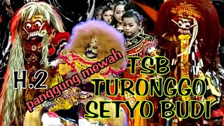 tsb junior H.2 Turonggo Setyo Budi DS Krasak Tegalrejo Bulu