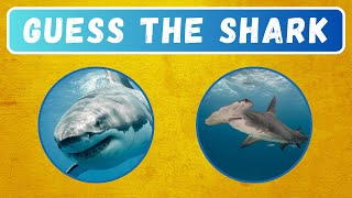 Guess the SHARK Species | 10 Sharks | Questions and Answers Trivia Quiz Game