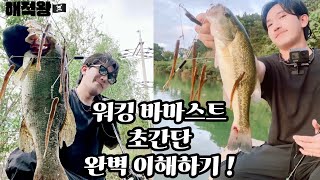 #배스 #배스낚시 해적왕🏴‍☠️ 워킹 바마스트 초간단 완벽 이해하기 ! 고선생(GTR_FISHING) 바마스트를 곁들임 ! @Gfishing87 (4K VIDEO)