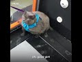 Lazy Cat Doesn't Want To Exercise