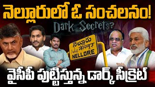 Nellore YCP Vs TDP Politics: నెల్లూరులో ఓ సంచలనం! వైసీపీ పుట్టిస్తున్న డార్క్ సీక్రెట్ | PINN