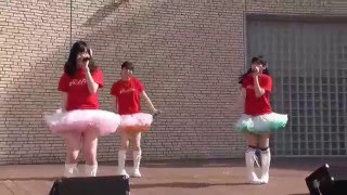 【ルシャナ】Team Kalra（チームかるら）@エコール・いずみ2（2016.5/5）