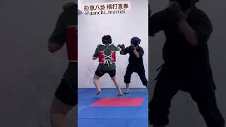 Straight punch 形意八卦 橫打崩拳 #martialarts #功夫 #武術 #sparring #八卦掌 #kungfu #形意拳 #fight #boxing #kickboxing