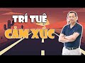 TRÍ TUỆ CẢM XÚC - Chìa Khóa Dẫn Đến Đến Cánh Cửa Thành Công | Ngô Minh Tuấn | Học Viện CEO Việt Nam