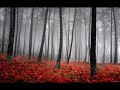 arctic night large forest original mix