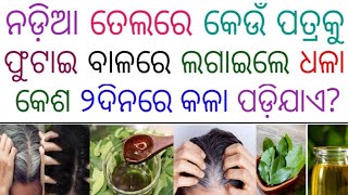 ଧଳା କେଶ କେମିତି କଳା କରିବା ? odia gk channel sadharana gyana prashan uttar | gk gyan |