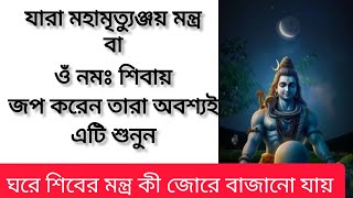 যারা মহামৃত্যুঞ্জয় মন্ত্র জপ করেন তারা অবশ্যই দেখুন। ঘরে শিবের মন্ত্র কী জোরে পাঠ করা যায়।