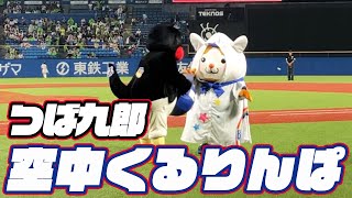 スターマンと一緒に！つば九郎空中くるりんぱ｜2023年9月15日 横浜DeNA戦（神宮球場）