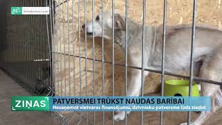 ReTV: Privātai dzīvnieku patversmei trūkst naudas barībai